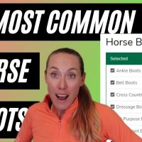 7 Most Common Types Of Horse Boots