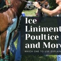 Ice, Liniment, Poultice Oh My!