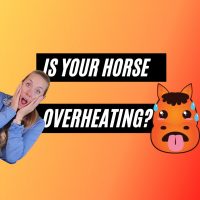 Is Your Horse Overheating? 3 Signs You Are Missing