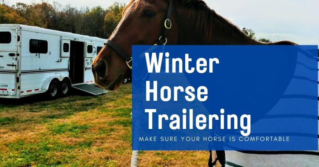 Title for winter horse trailering