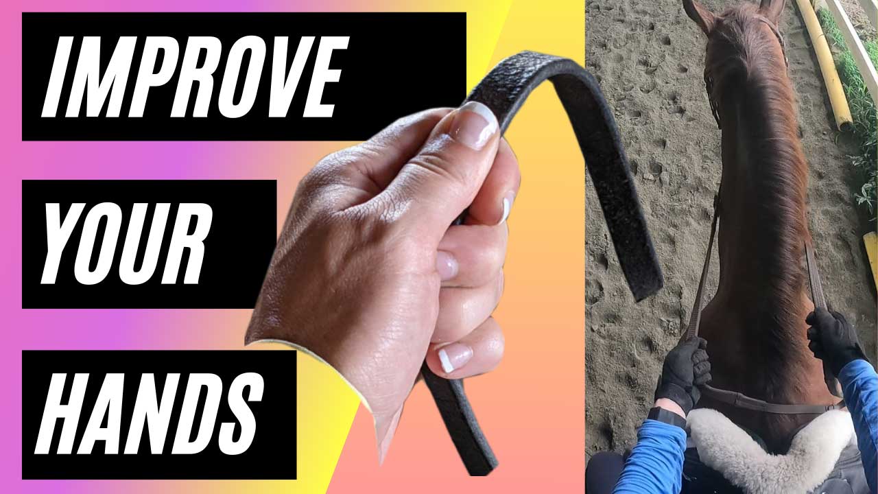 3gpnonton bokep hinden cam spy toilet